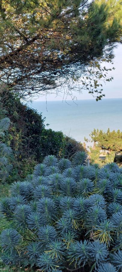 Le Cise Eau A Bois Daire Le Bois de Cise Dış mekan fotoğraf